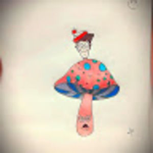 Meet your Posher, Koda